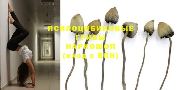 PSILOCYBIN Бежецк