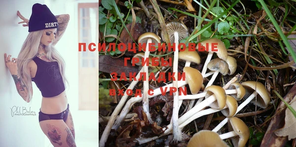 PSILOCYBIN Бежецк