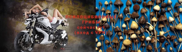 PSILOCYBIN Красноперекопск