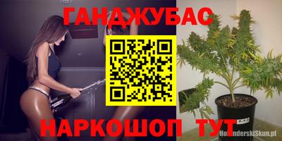 прущие крисы Изобильный