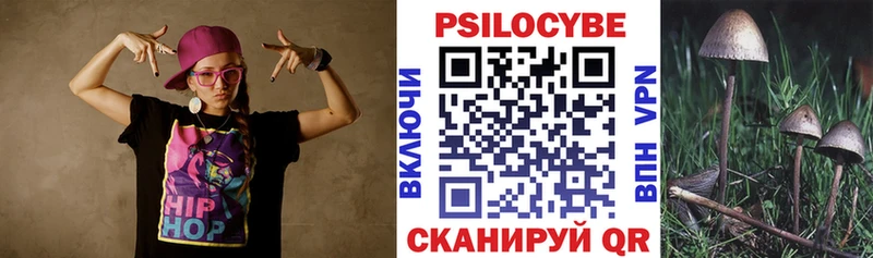 Псилоцибиновые грибы Cubensis OMG tor Курчатов