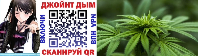 купить наркоту  MEGA зеркало  Конопля сатива  Курчатов 