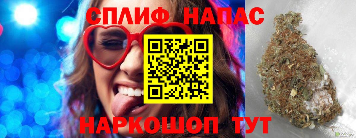 ЭКСТАЗИ Курчатов